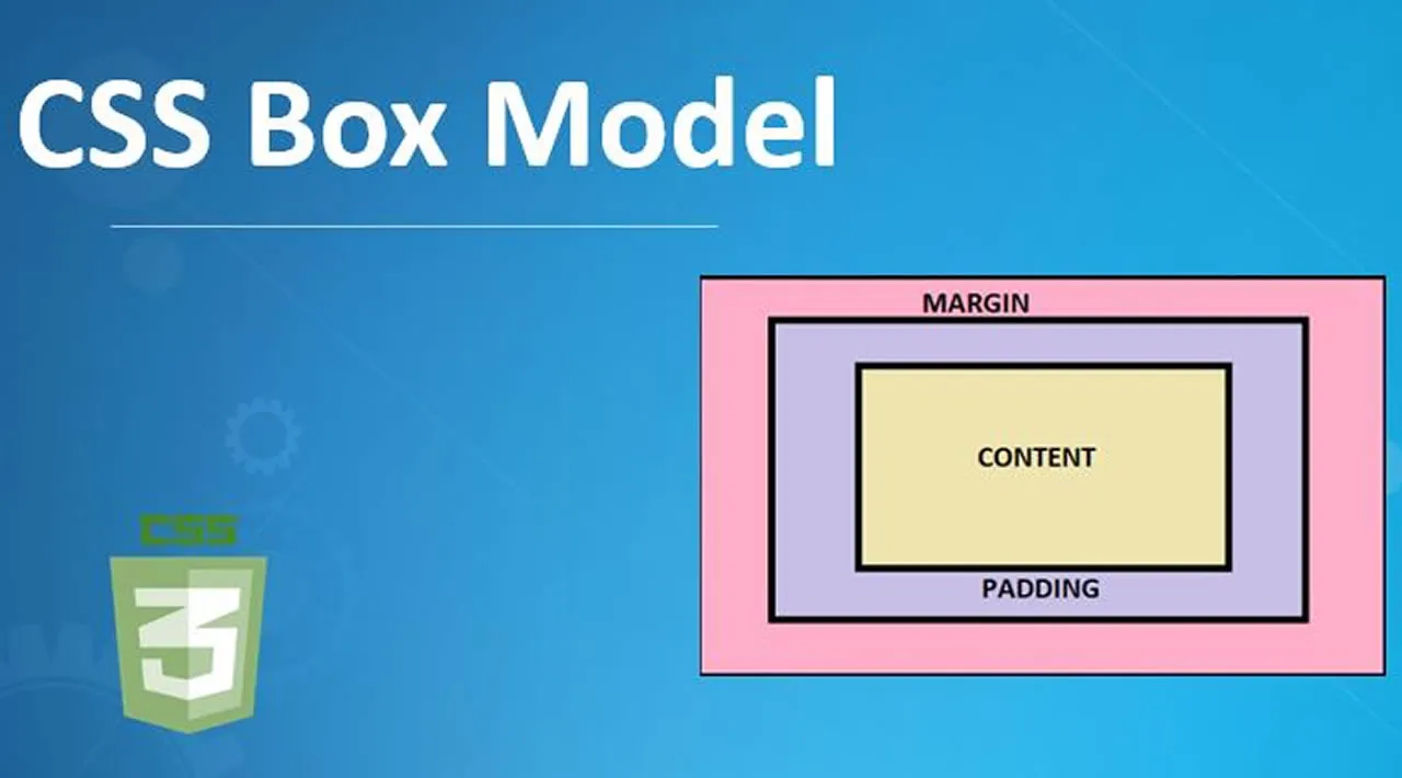 How To Work with the Box Model in CSS