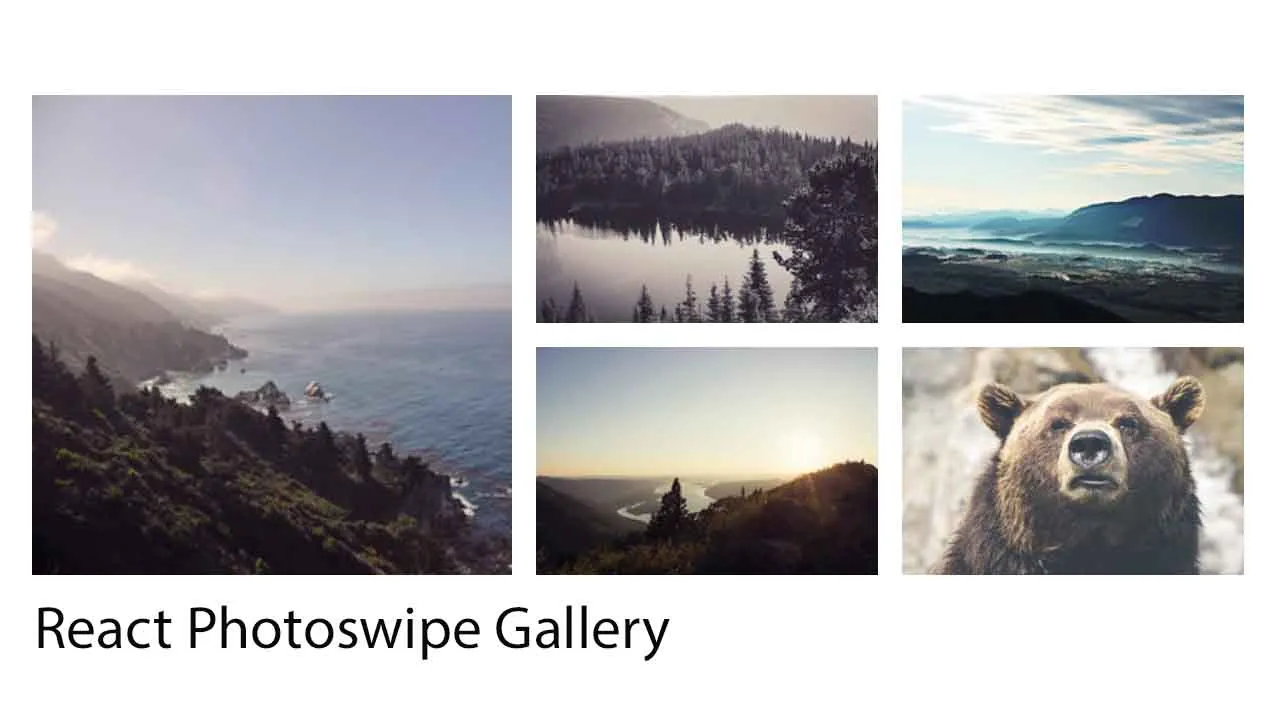 React Component Wrapper Around PhotoSwipe