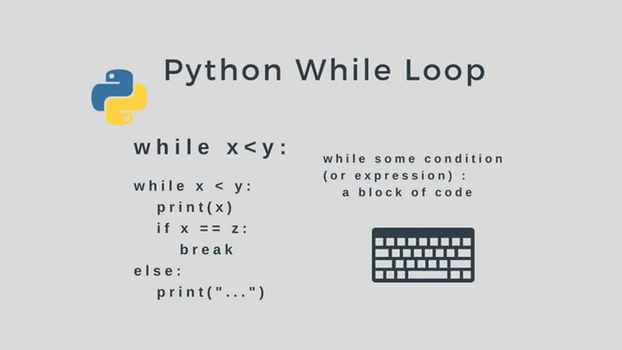 How to Use Python for and While Loops