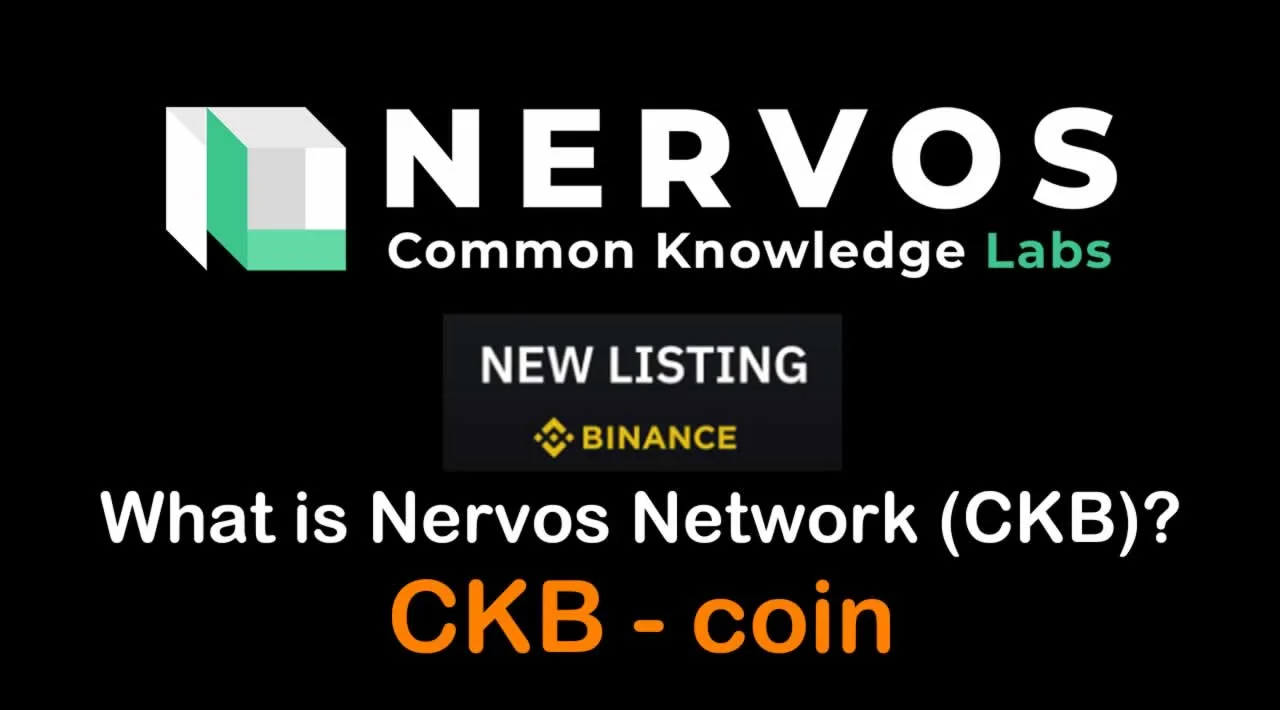 What is Nervos Network (CKB) | What is Nervos coin | What is CKB coin