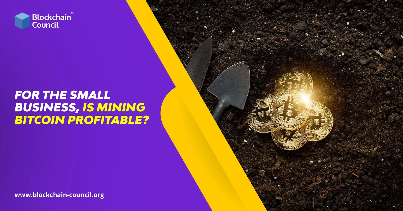 For The Small Business, Is Mining Bitcoin Profitable?