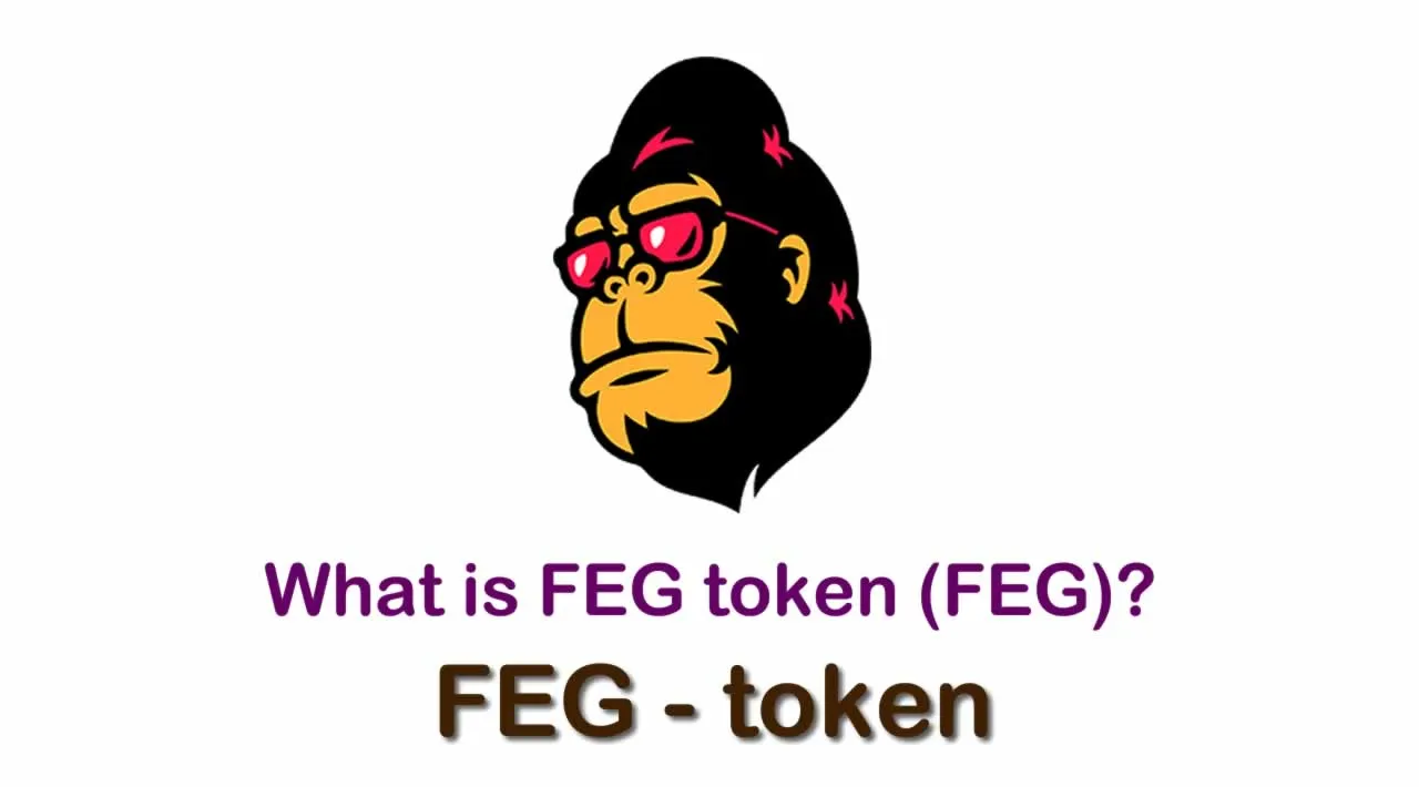 What is FEG token (FEG) | What is FEG token 