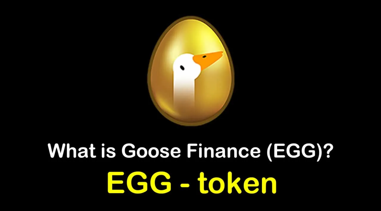 What is Goose Finance (EGG) | What is Goose Finance token | What is EGG token