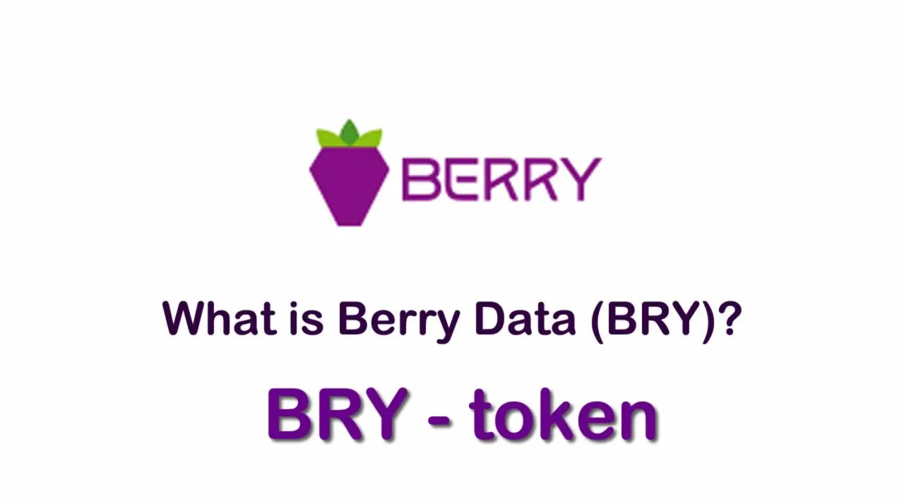 What is Berry Data (BRY) | What is Berry Data token | What is BRY token