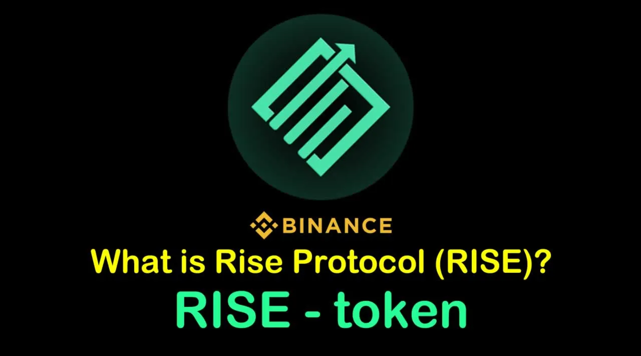 What is Rise Protocol (RISE) | What is Rise Protocol token | What is RISE token