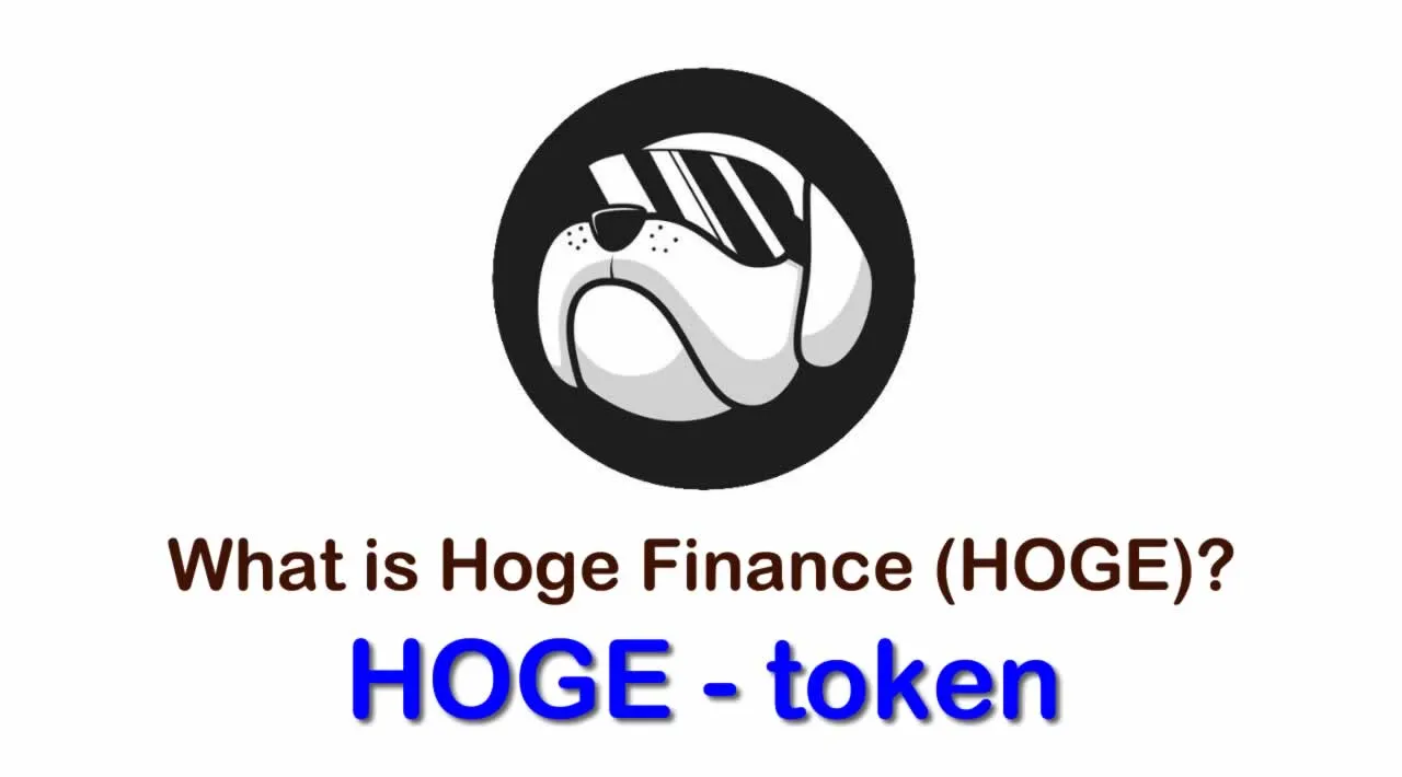 What is Hoge Finance (HOGE) | What is Hoge Finance token | What is HOGE token