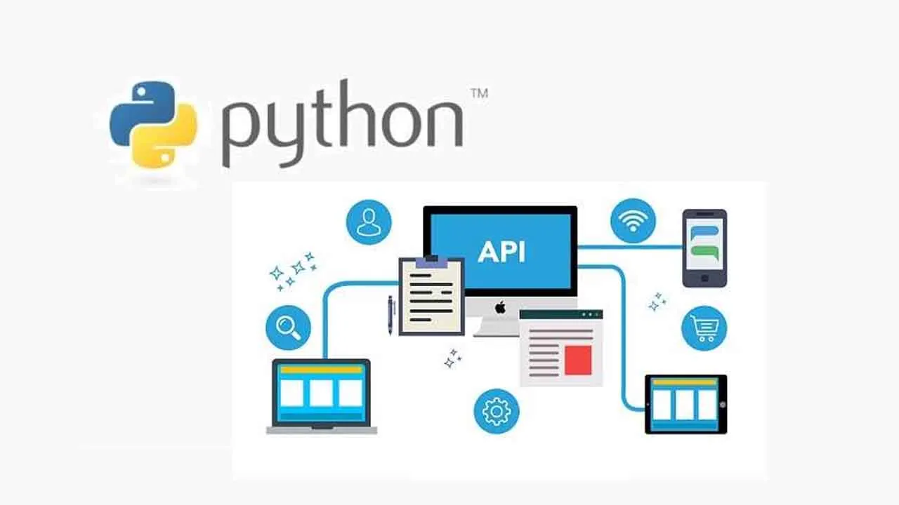 Basic Understanding Of APIs For The Python Beginners