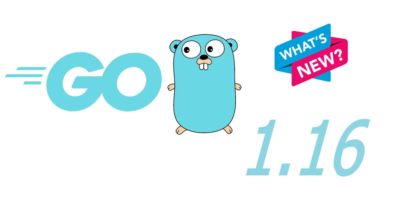 What's New in Go 1.16