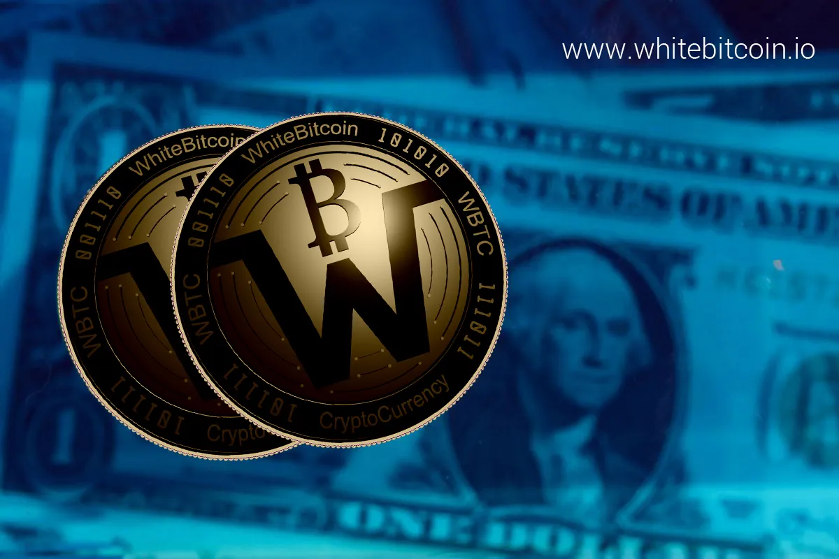 Is WBTC (White Bitcoins) safe?