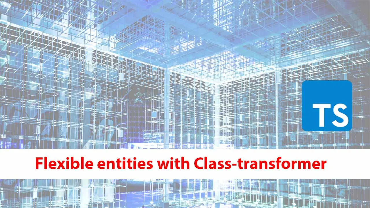 Flexible Entities with Class-transformer