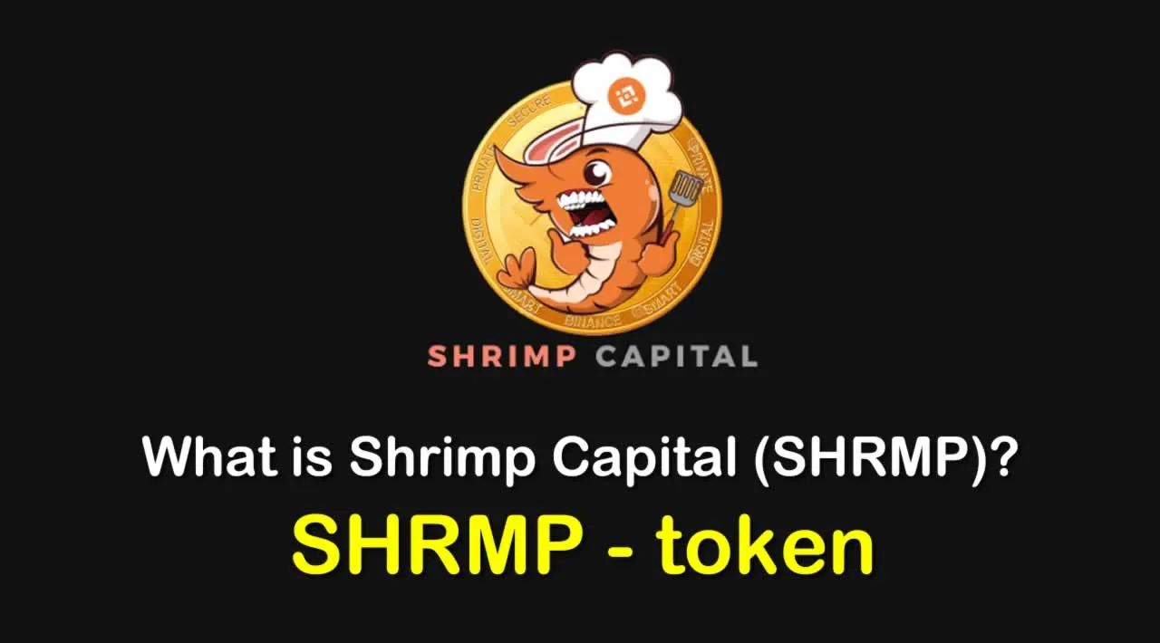 What is Shrimp Capital (SHRMP) | What is Shrimp Capital token | What is SHRMP token