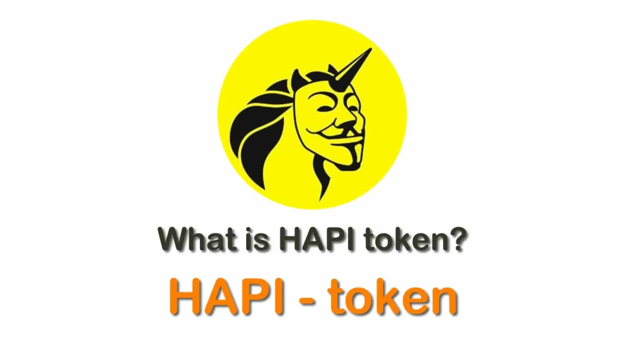 What is HAPI token?