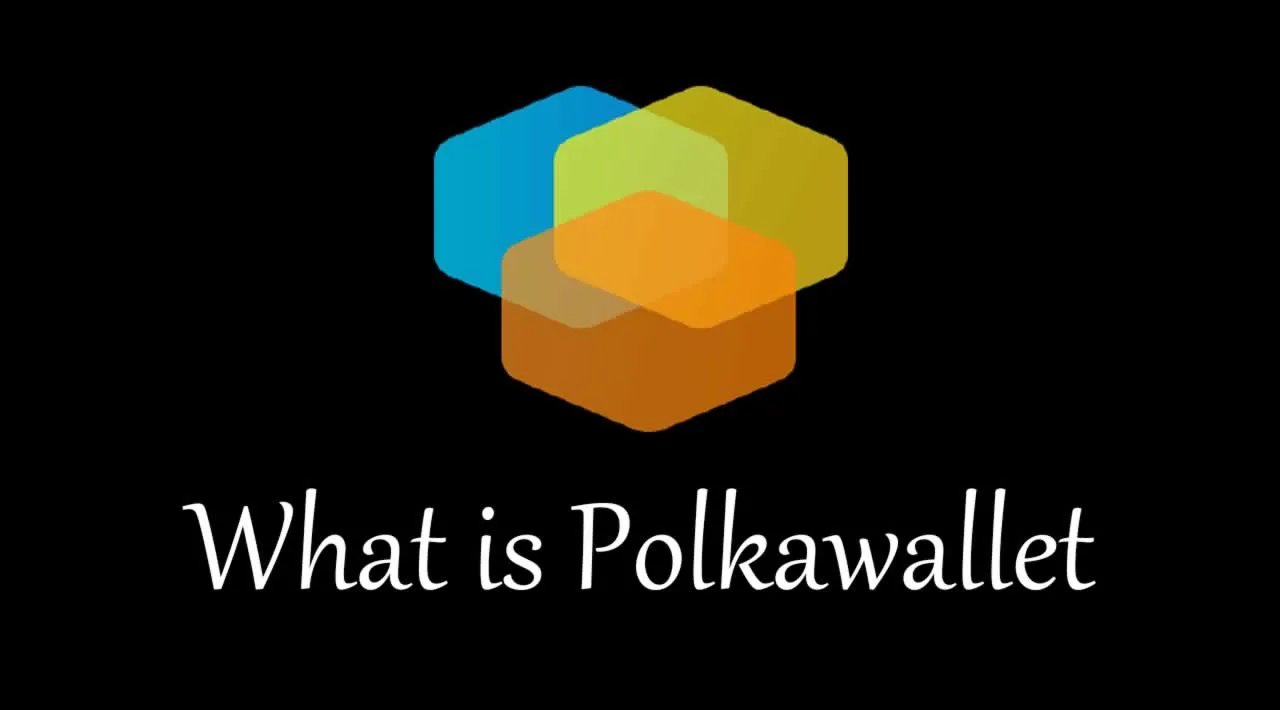 What is Polkawallet | How to Use Polkawallet | Polkadot Mobile Wallet
