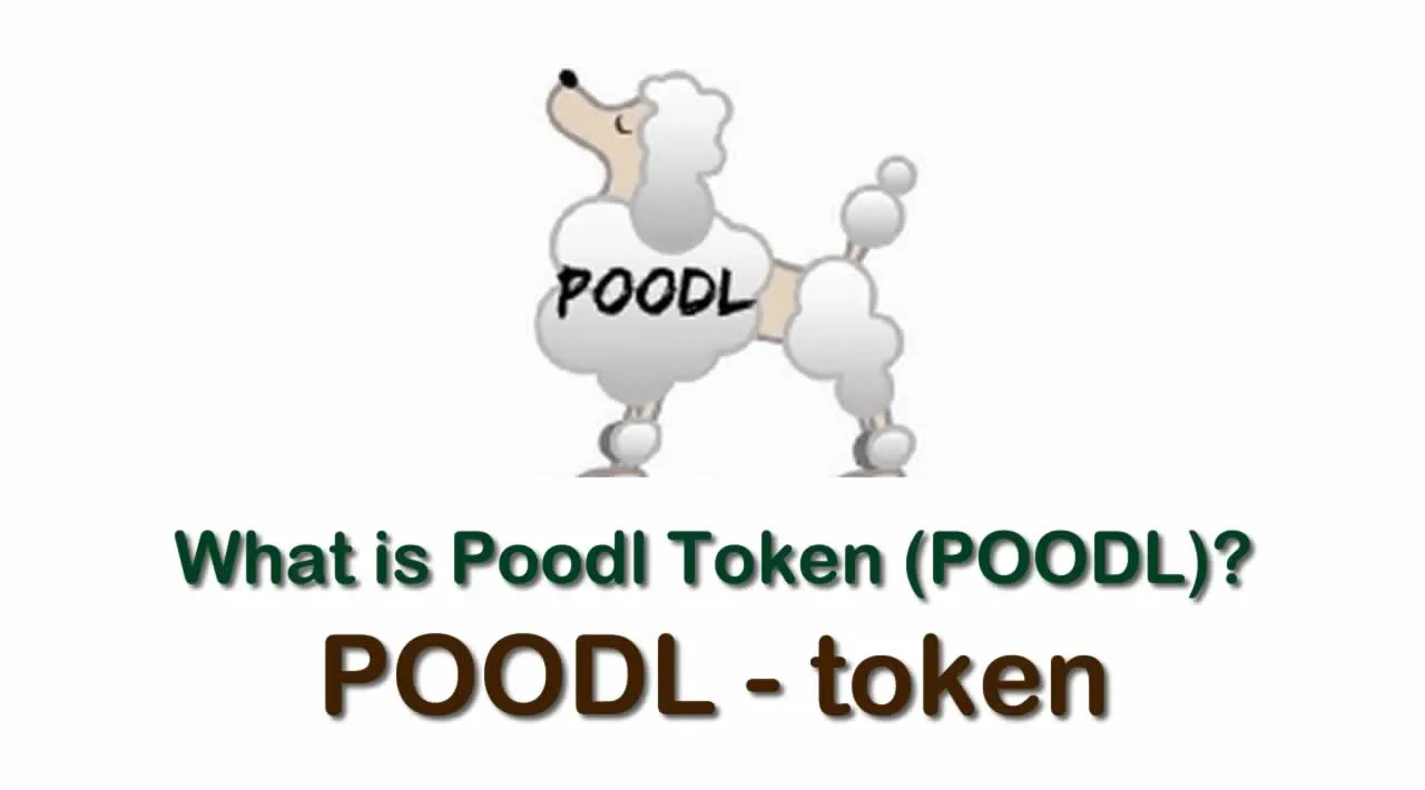 What is Poodl Token (POODL) | What is POODL Token 