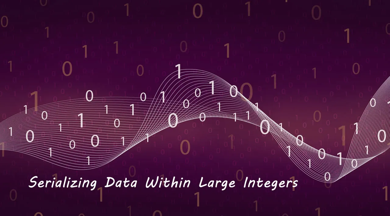 Serializing Data Within Large Integers