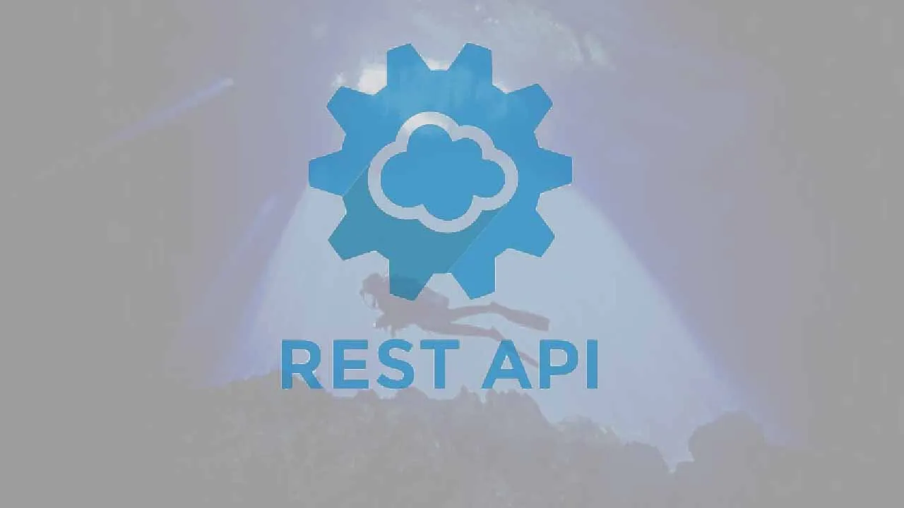 Diving Deep Into REST API Channels