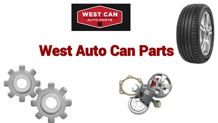  Car Auto Parts Wholesaler and Retailer