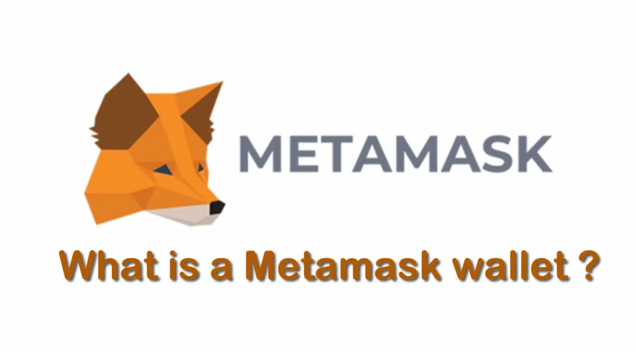 What is Metamask wallet | How to Create a wallet and Use