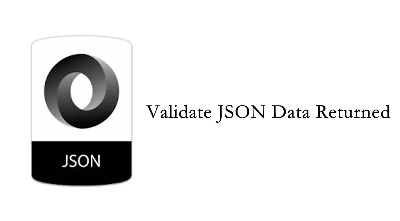 How to Validate JSON Data Returned Is Valid?