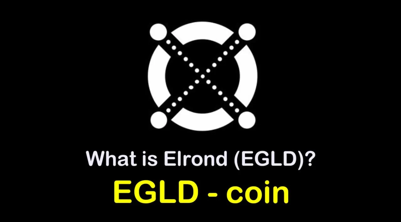 What is Elrond (EGLD) | What is Elrond coin | What is EGLD coin