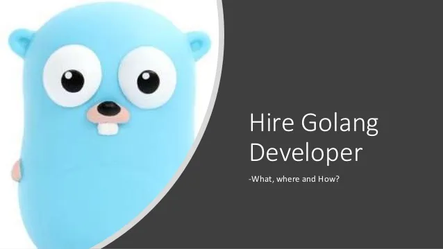 Hire Dedicated Golang Developers | Golang Web Development Company