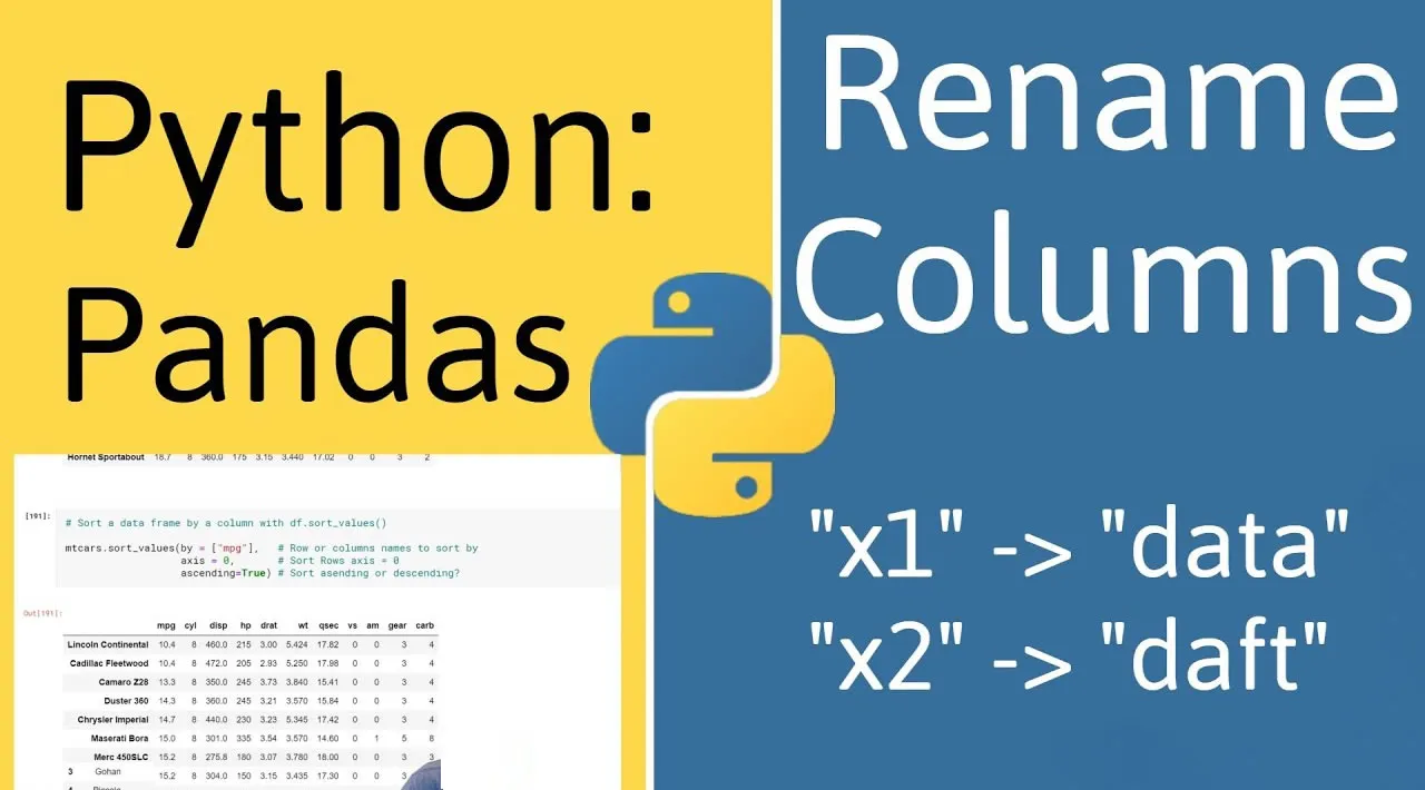 How to Rename Columns in Pandas Python? 