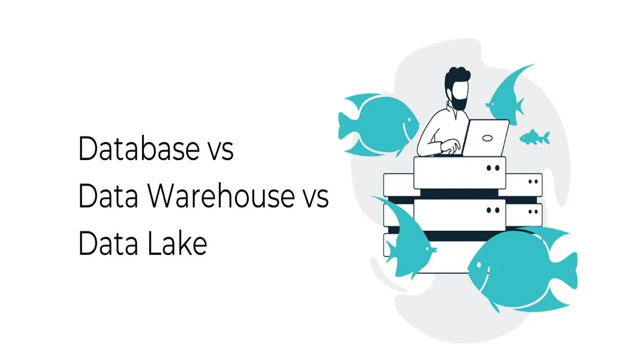 Database Vs Data Warehouse Vs Data Lake: A Simple Explanation