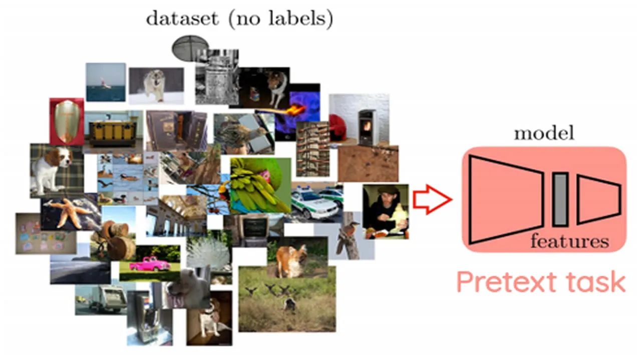 Knowledge Transfer in Self Supervised Learning