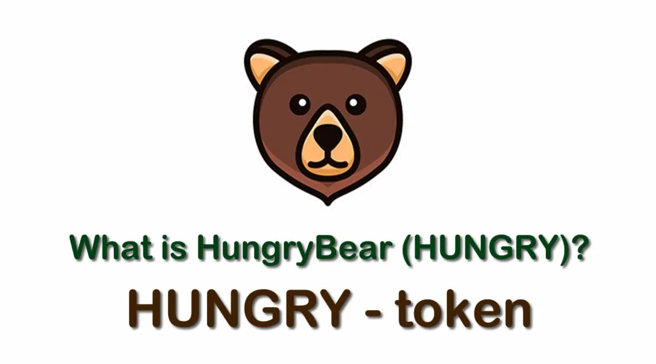 What is HungryBear (HUNGRY) | What is Hungrybear Finance (HUNGRY) | What is HUNGRY token