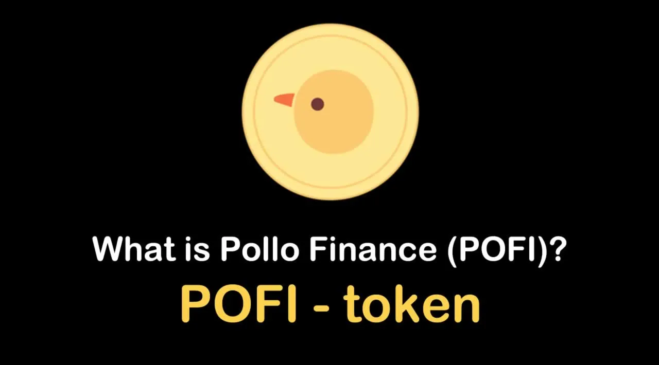 What is Pollo Finance (POFI) | What is Pollo Finance token | What is POFI token