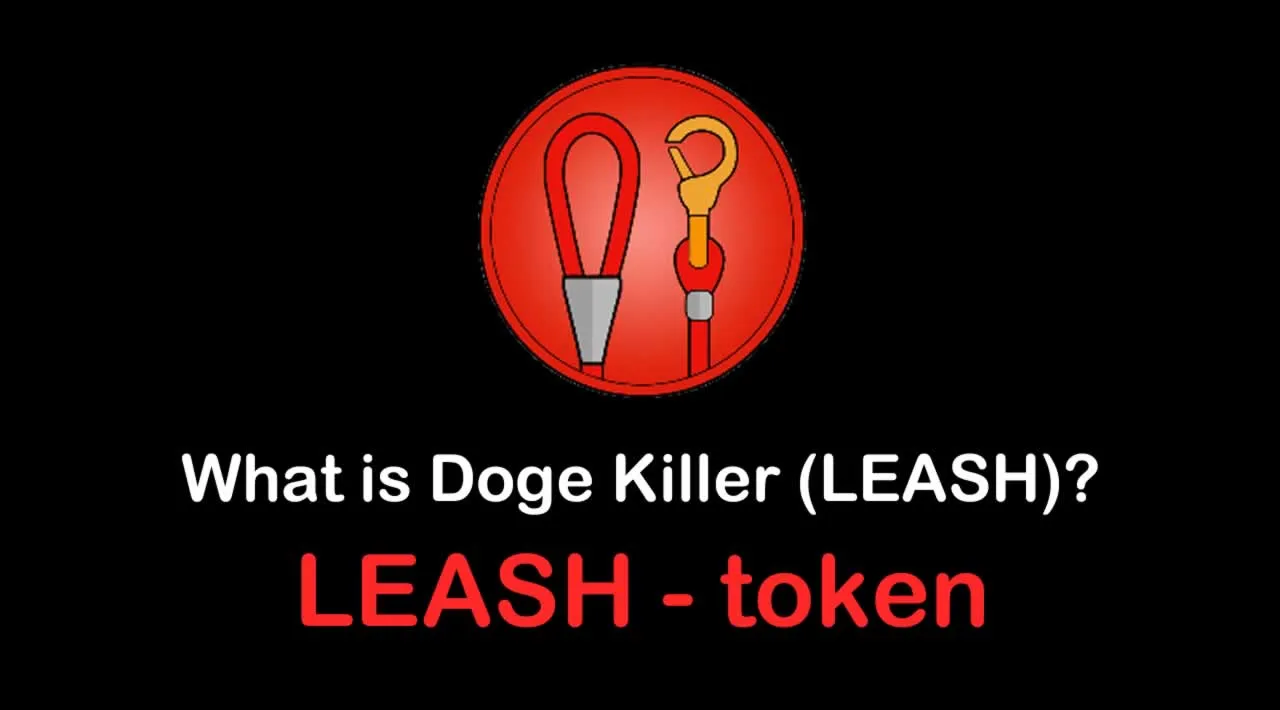 What is Doge Killer (LEASH) | What is Doge Killer token | What is LEASH token