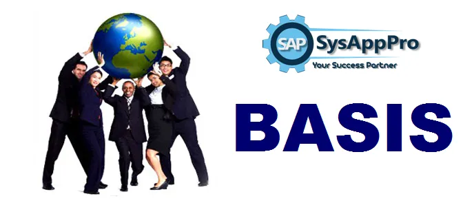 The Complete Guide to SAP Basis Online Training in 2021