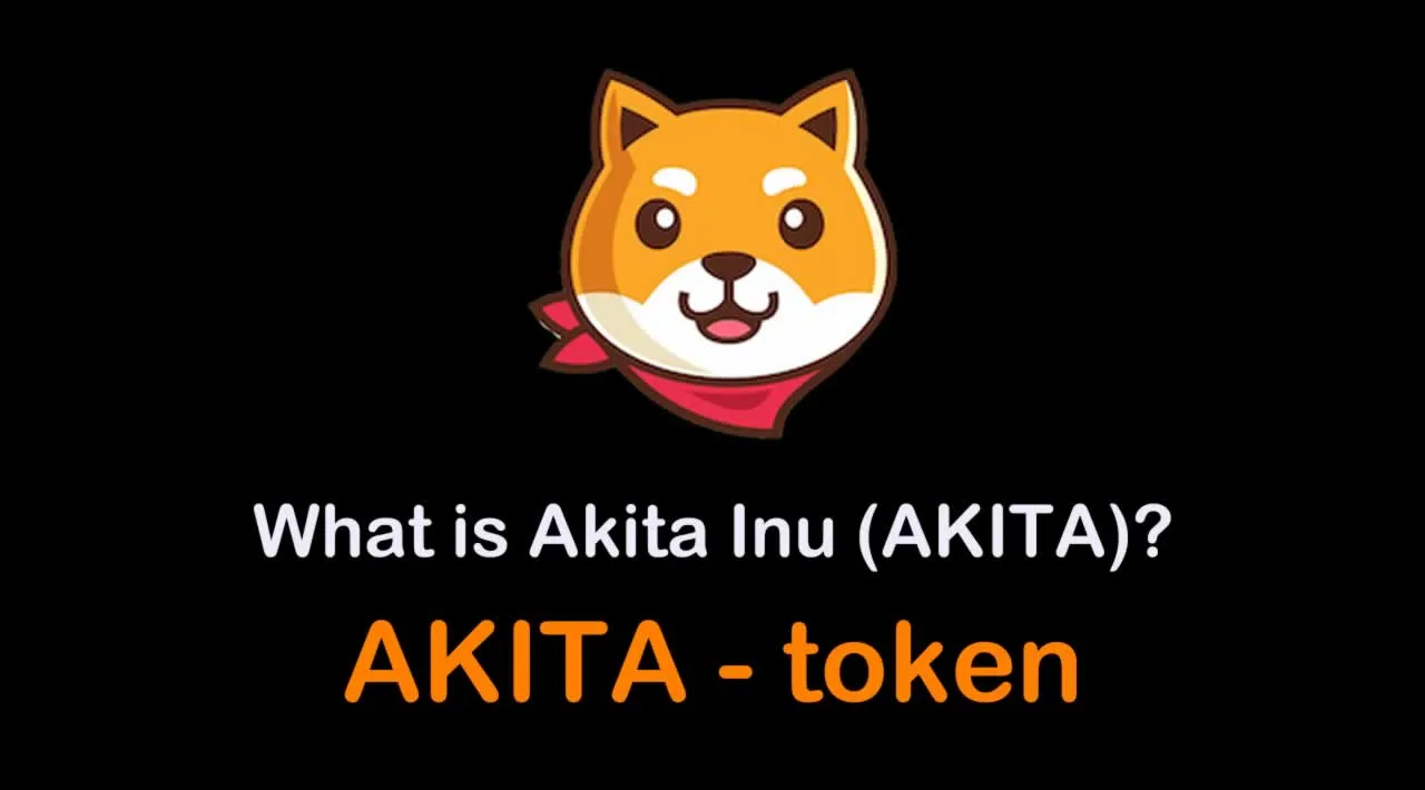 What is Akita Inu (AKITA) | What is Akita Inu token | What is AKITA token