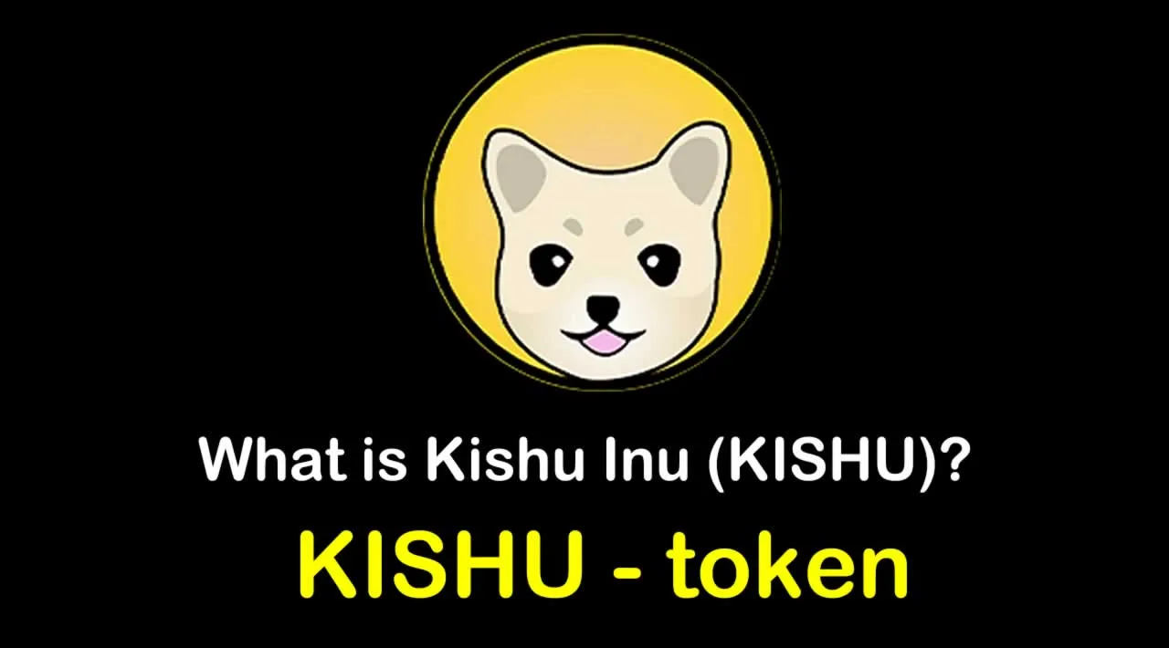 What is Kishu Inu (KISHU) | What is Kishu Inu token | What is KISHU token