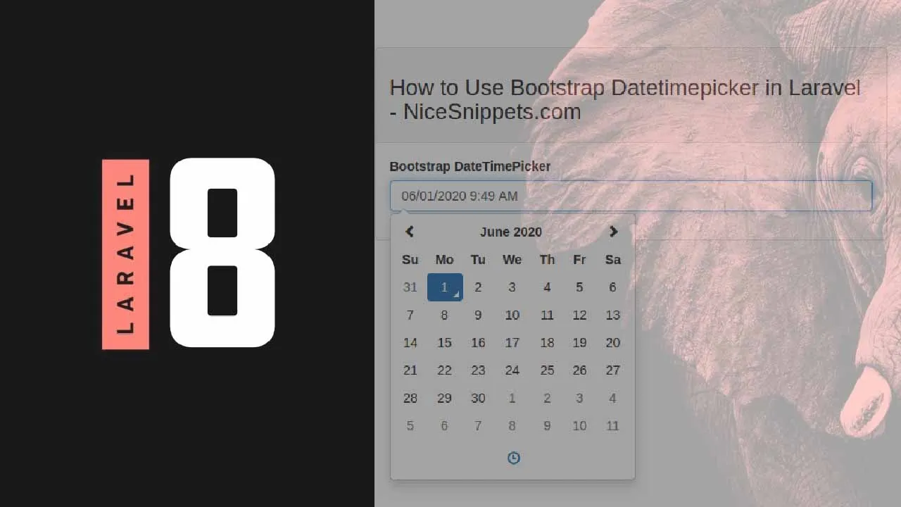 How to Add and Use Bootstrap Datepicker in Laravel 8