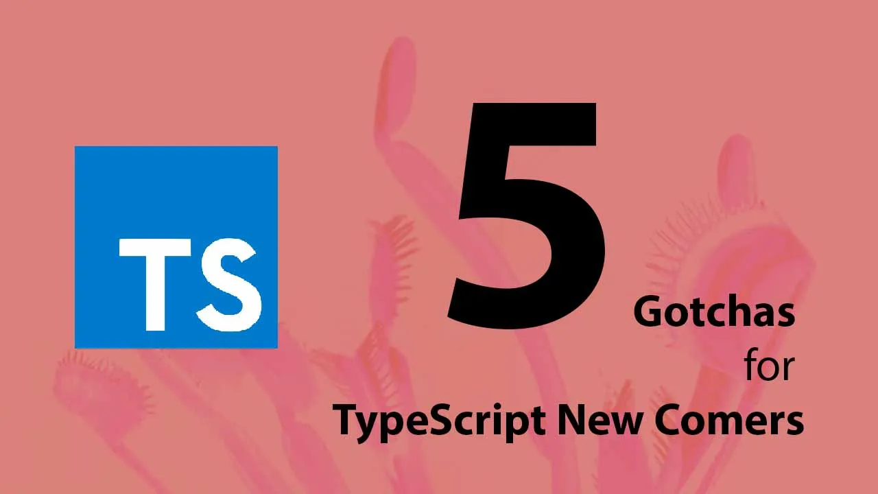 5 Gotchas for TypeScript New Comers
