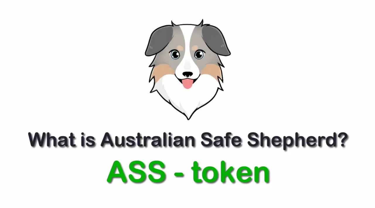 What Is Australian Safe Shepherd Ass What Is Australian Safe Shepherd Token What Is Ass Token