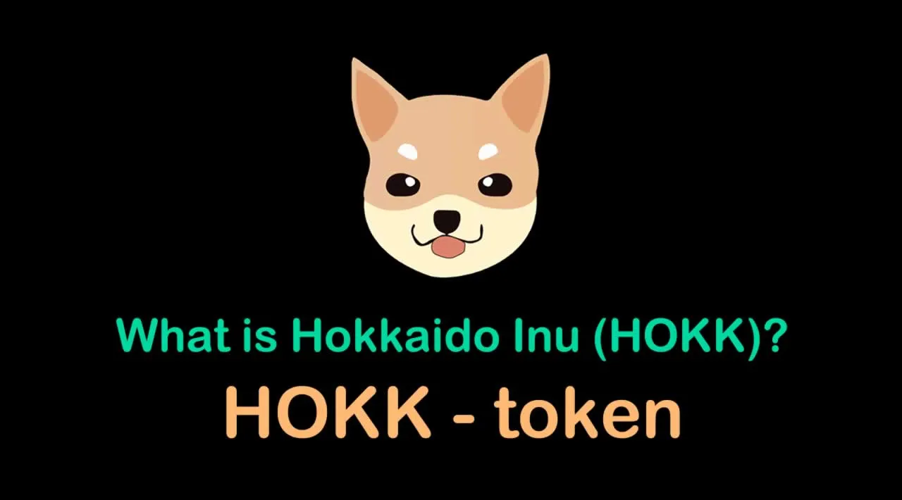 What is Hokkaido Inu (HOKK) | What is Hokk Finance token | What is HOKK token