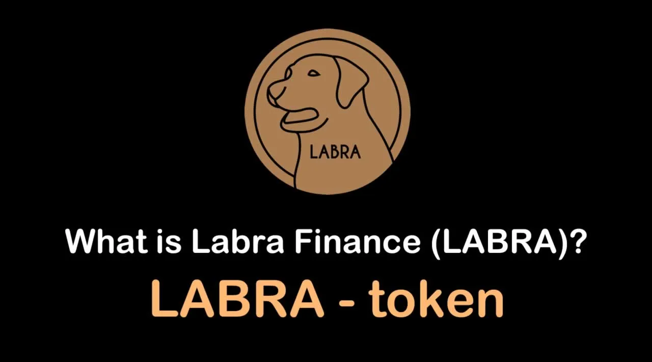 What is Labra Finance (LABRA) | What is Labra Finance token | What is LABRA token
