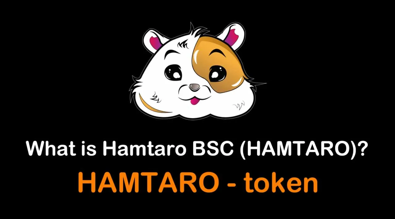 What is Hamtaro (HAMTARO) | What is Hamtaro BSC (HAMTARO) | What is HAMTARO token
