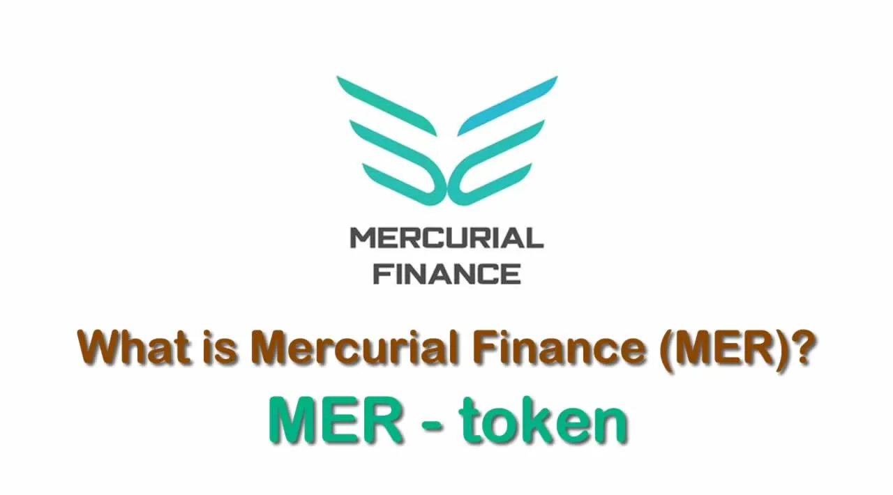 What is Mercurial Finance (MER) | What is Mercurial Finance token | What is MER token