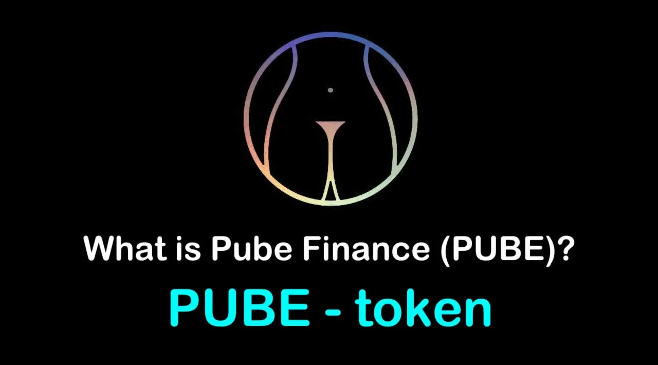 What is Pube Finance (PUBE) | What is Pube Finance token | What is PUBE token