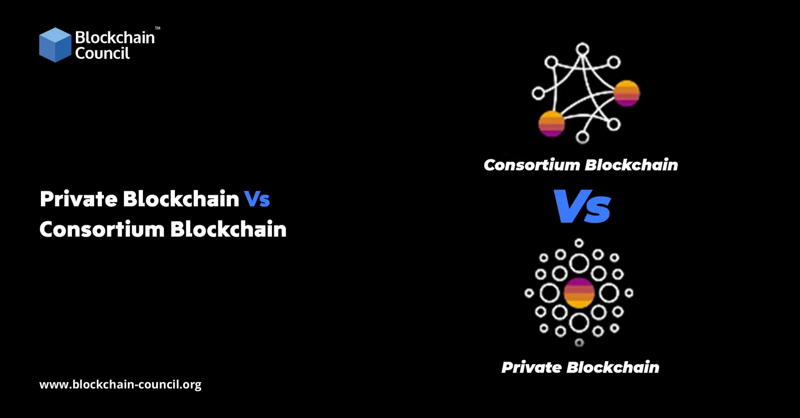 Private Blockchain Vs Consortium Blockchain: What’s the difference? 
