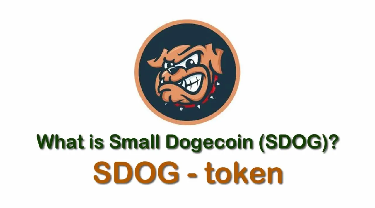What is Small Dogecoin (SDOG) | What is Small Dogecoin token | What is SDOG token