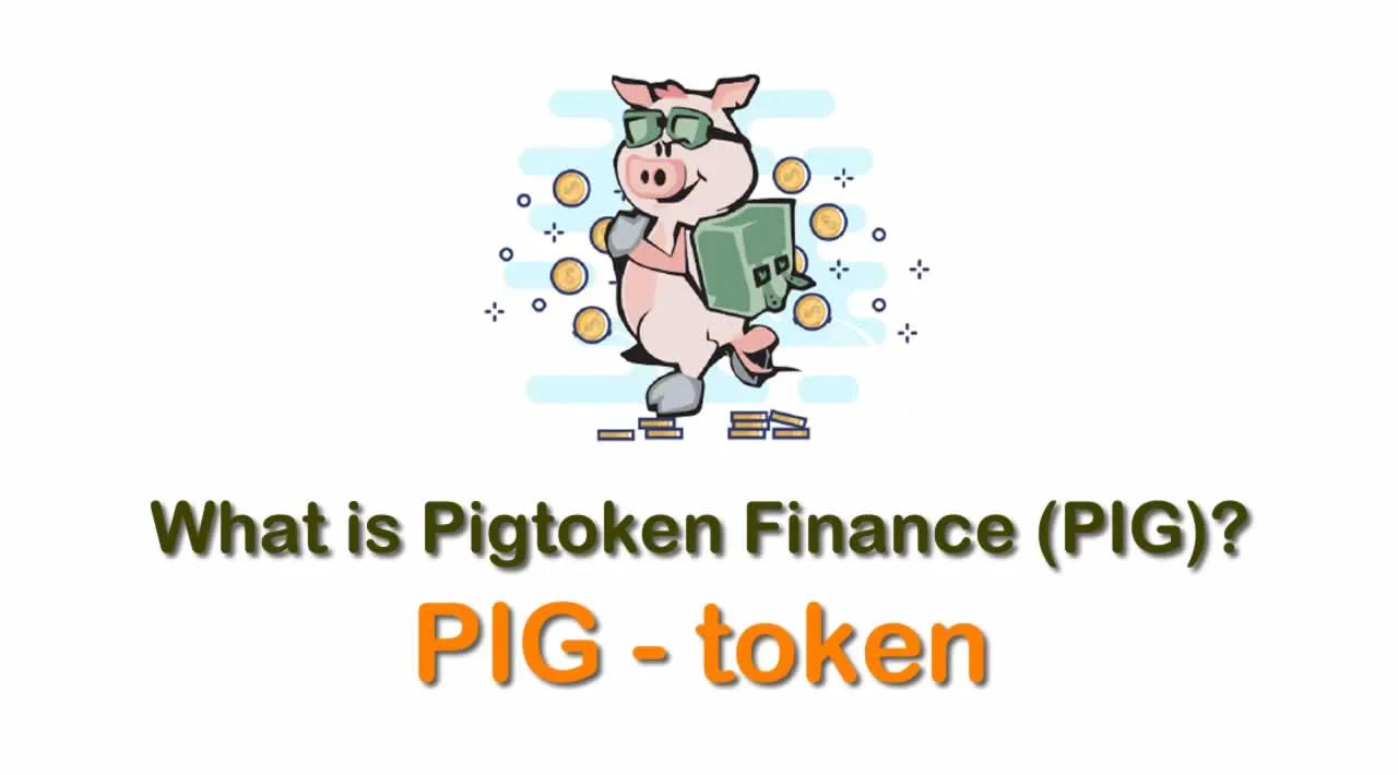 What is Pigtoken Finance (PIG) | What is Pig Finance token | What is PIG token 
