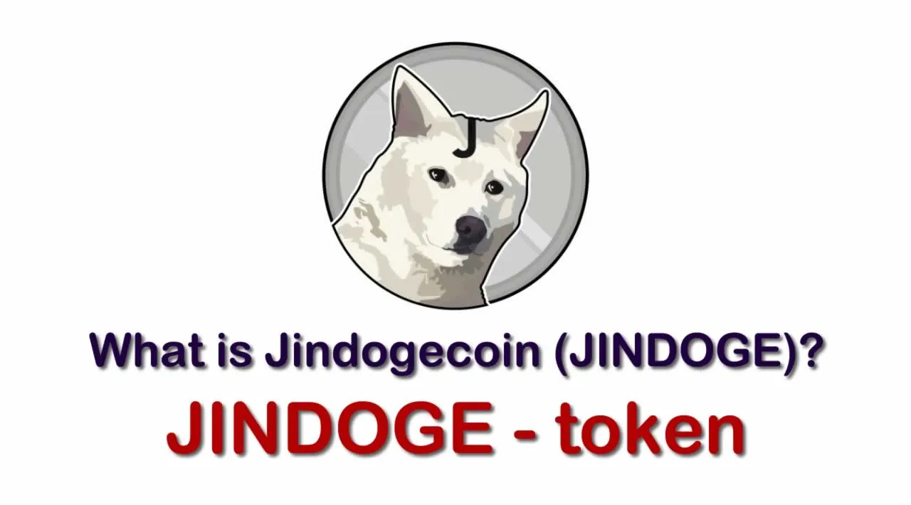 jindoge coin