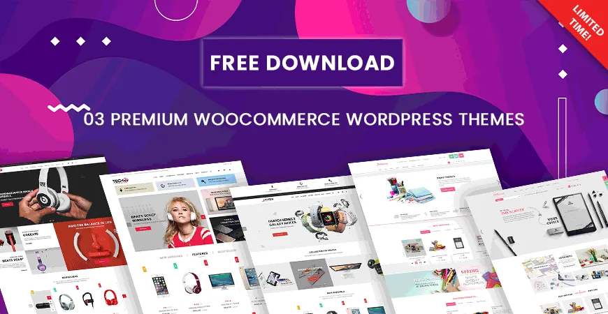 Download Free Premium Theme & Seo Basics Digital » Free Download