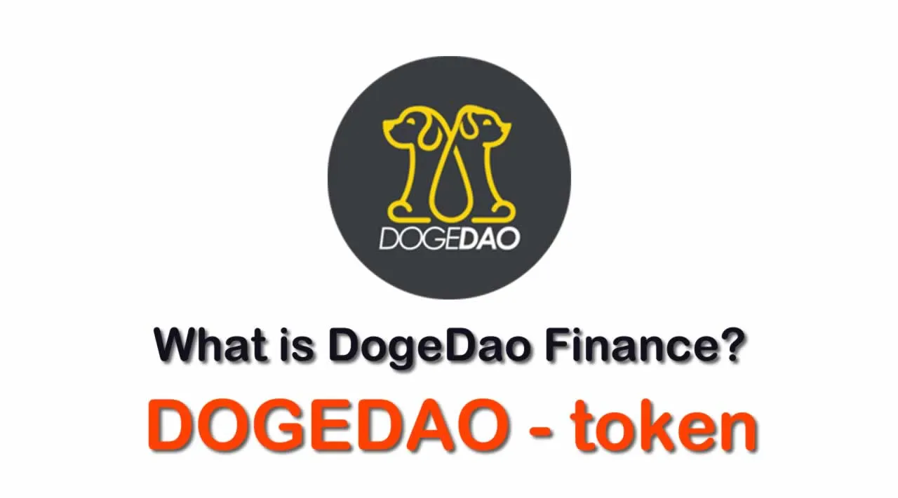 What is DogeDao Finance (DOGEDAO) | What is DogeDao Finance token | What is DOGEDAO token