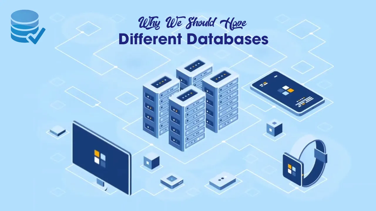 Why We Should Have Different Databases