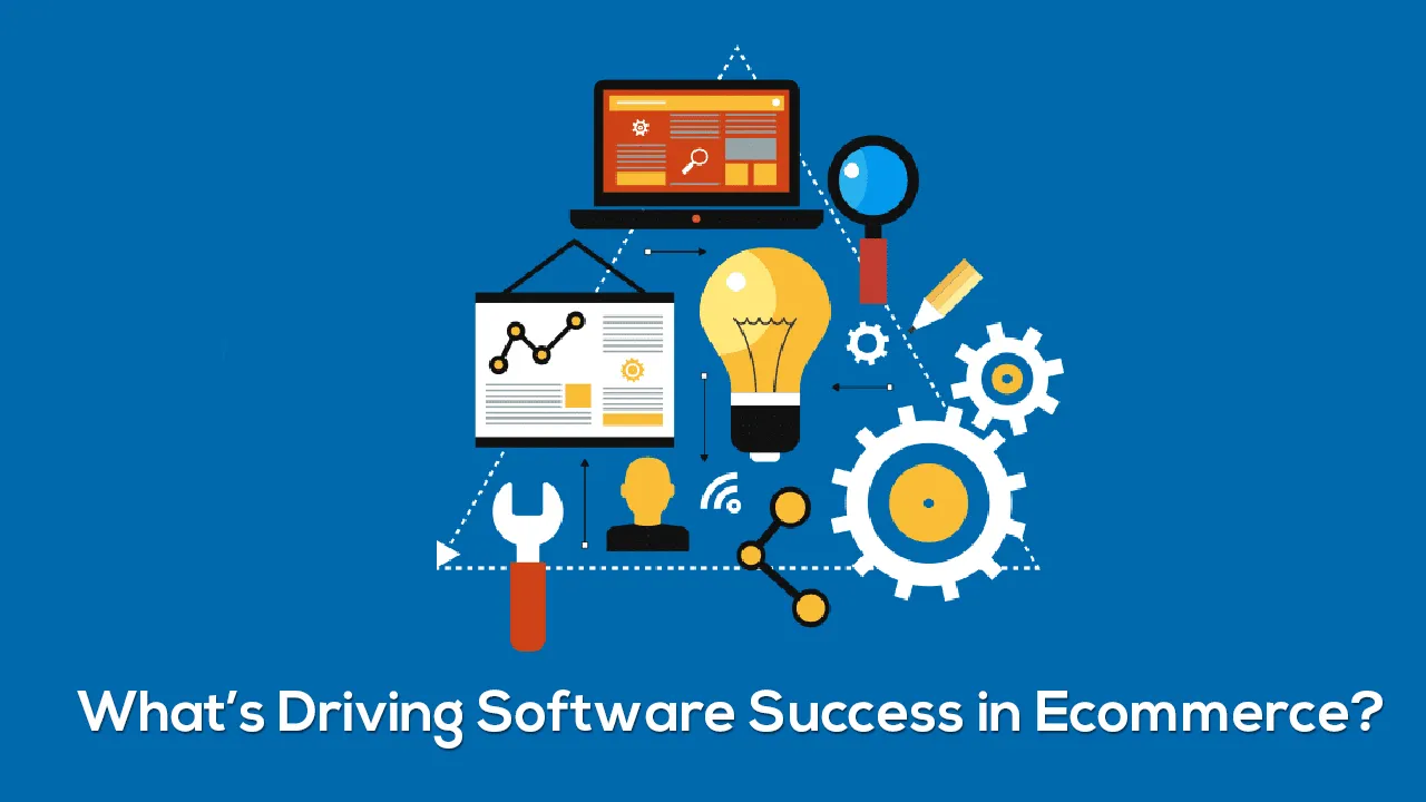 What’s Driving Software Success in Ecommerce?